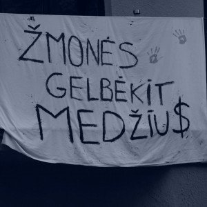 gelbekit-medzius